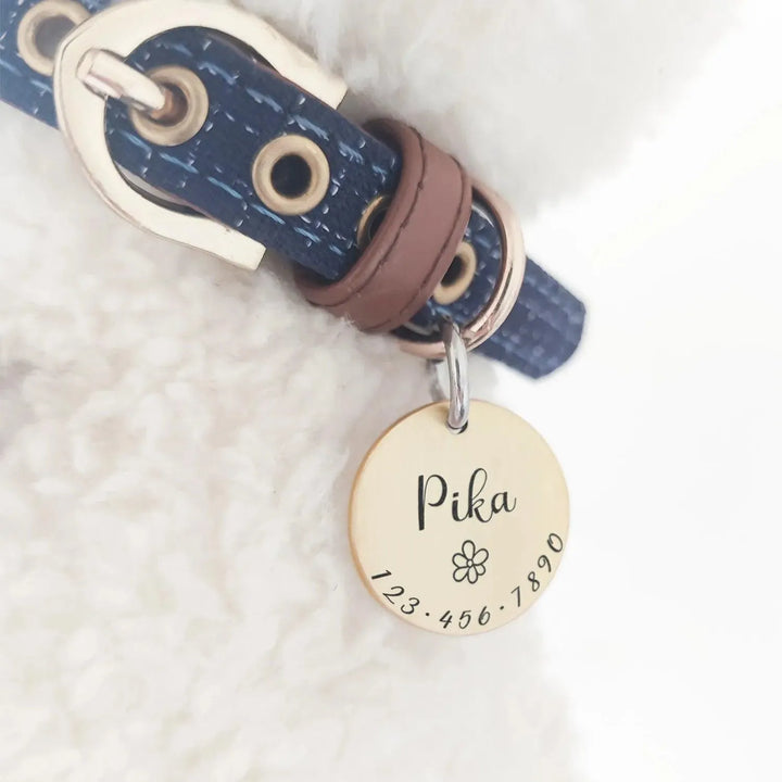 Personalized Pet Cat Dog ID Tag Collar - themiraclebrands.com