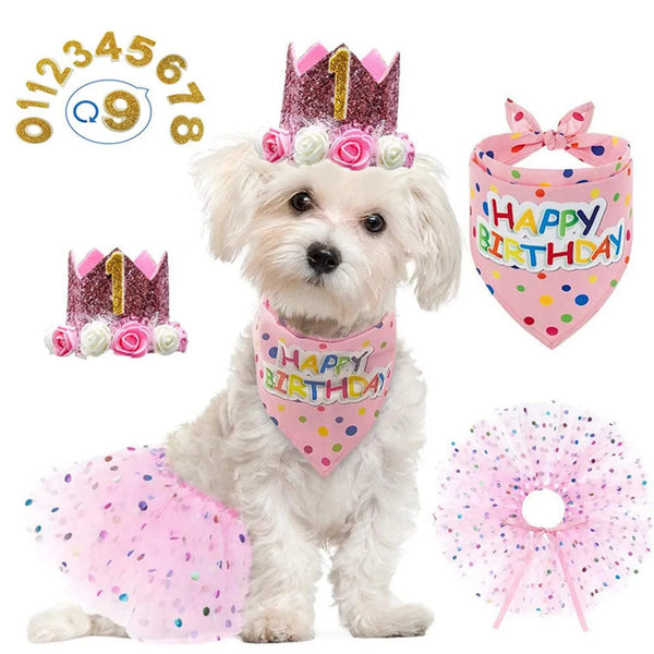 Pet Birthday Party Crown Pink Scarf Set - themiraclebrands.com