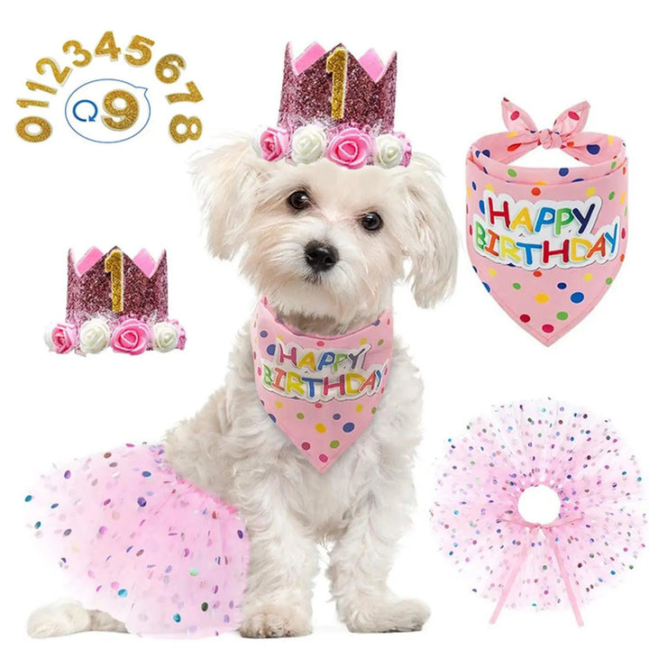 Pet Birthday Party Crown Pink Scarf Set - themiraclebrands.com