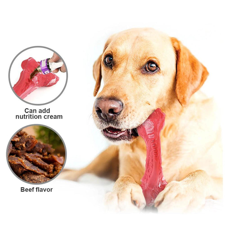 Pet Dog Bone Chew Toy Dental Health - themiraclebrands.com