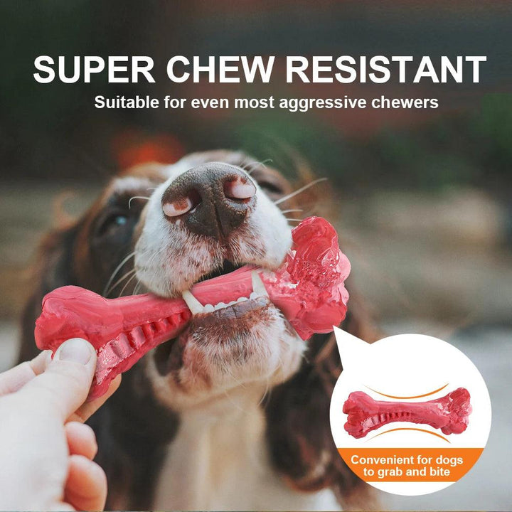 Pet Dog Bone Chew Toy Dental Health - themiraclebrands.com