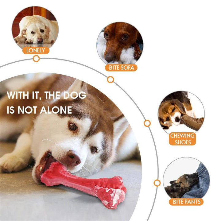 Pet Dog Bone Chew Toy Dental Health - themiraclebrands.com