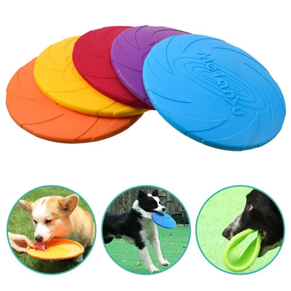 Pet Dog Flying Disc Anti-Chew Training - themiraclebrands.com