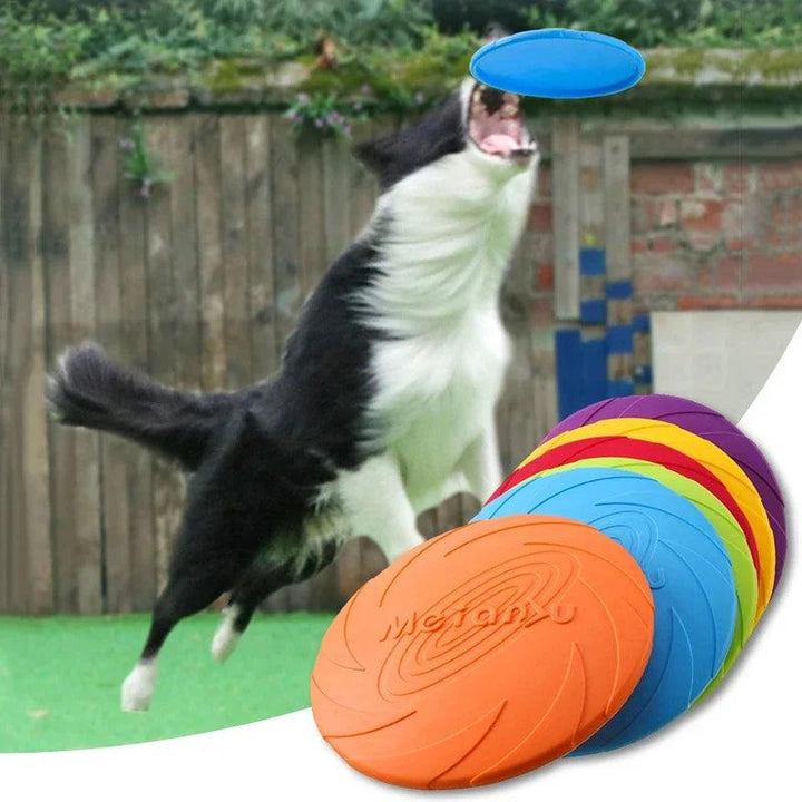 Pet Dog Flying Disc Anti-Chew Training - themiraclebrands.com