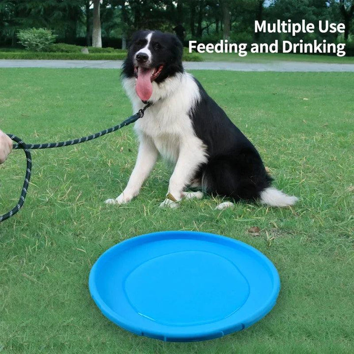 Pet Dog Flying Disc Anti-Chew Training - themiraclebrands.com