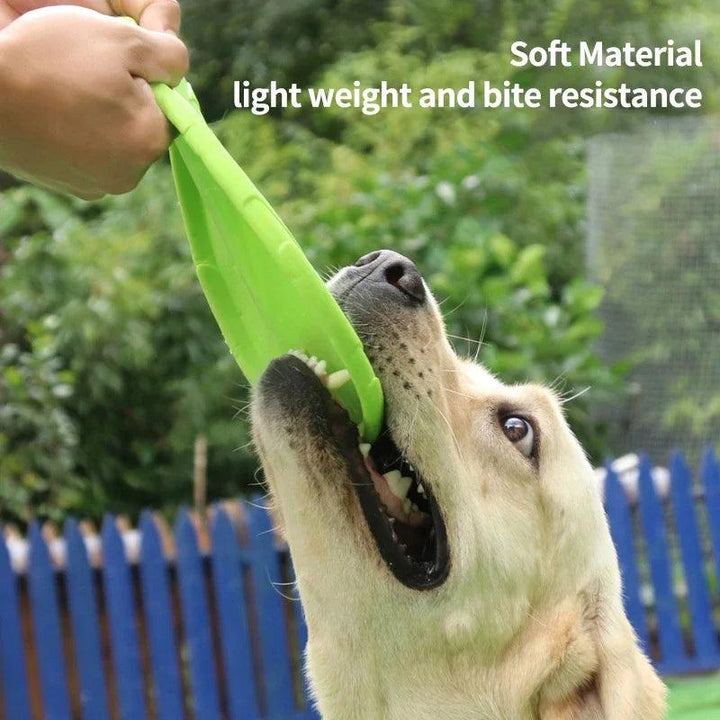 Pet Dog Flying Disc Anti-Chew Training - themiraclebrands.com