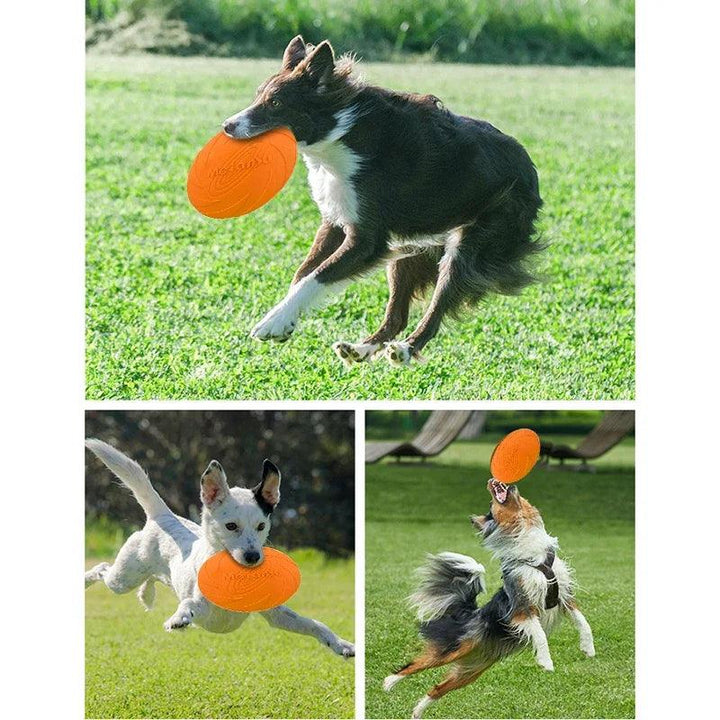 Pet Dog Flying Disc Anti-Chew Training - themiraclebrands.com