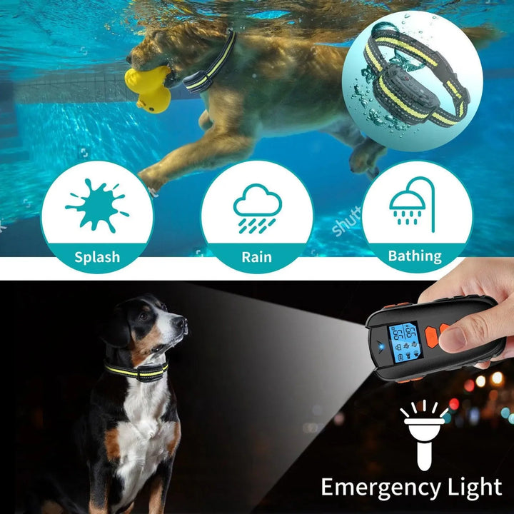 Pet Dog Training Collar Electric Remote Control - themiraclebrands.com