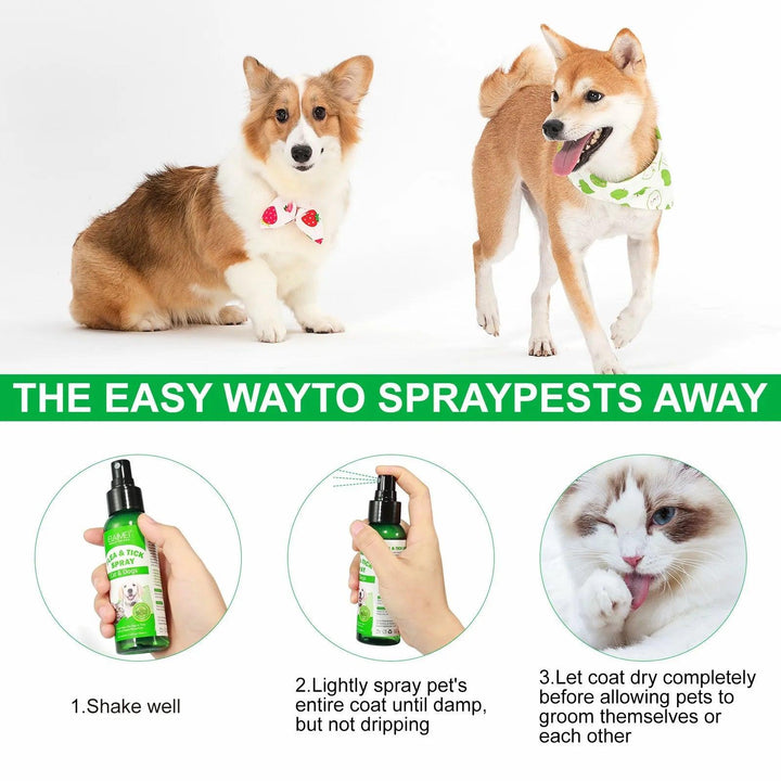 PET Flea & Tick Spray Dogs Cats 100ml - themiraclebrands.com