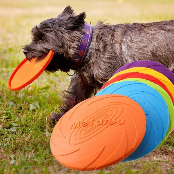 Pet Frisbee - Interactive Dog Toy - themiraclebrands.com