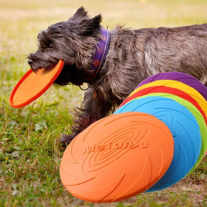 Pet Frisbee - Interactive Dog Toy - themiraclebrands.com