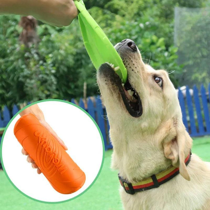 Pet Frisbee - Interactive Dog Toy - themiraclebrands.com