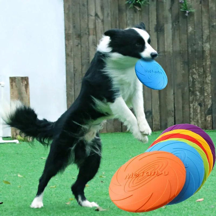 Pet Frisbee - Interactive Dog Toy - themiraclebrands.com