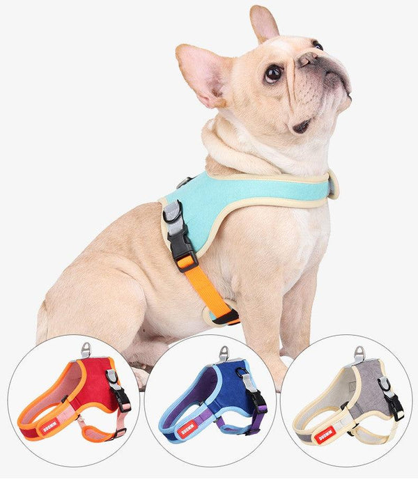 Pet Harness with Leash - themiraclebrands.com