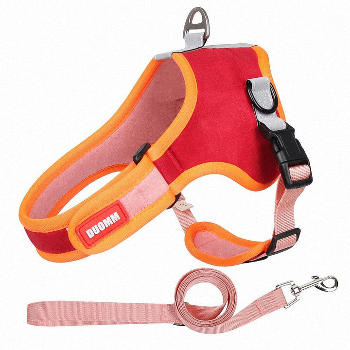 Pet Harness with Leash - themiraclebrands.com