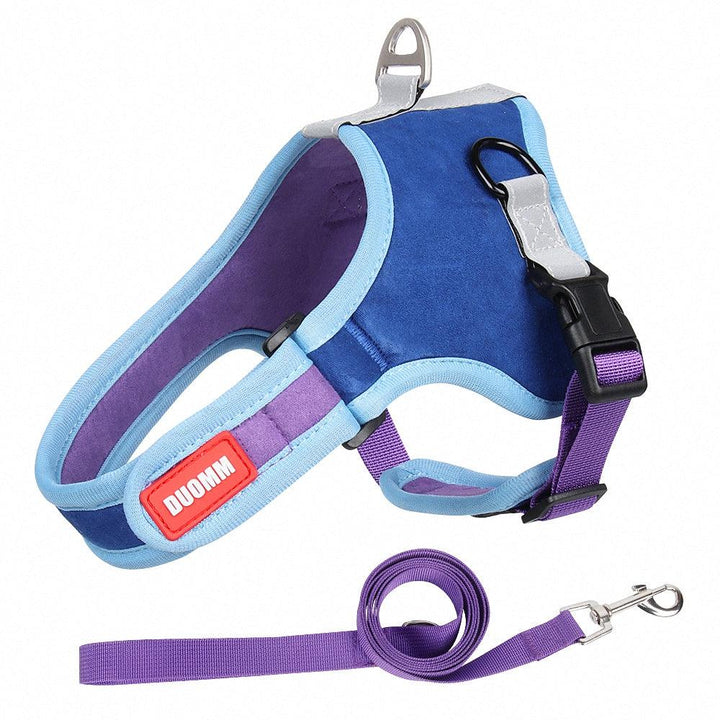 Pet Harness with Leash - themiraclebrands.com