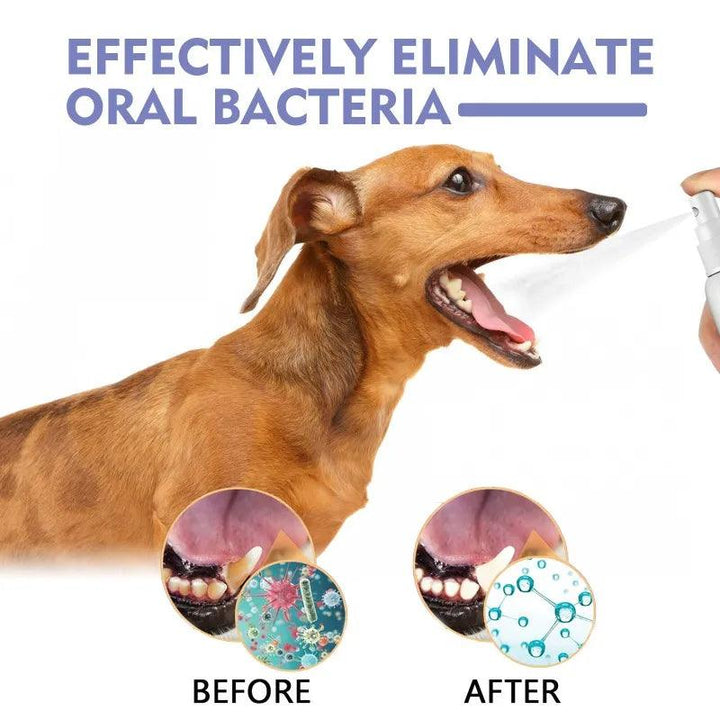 Pet Oral Spray Clean Teeth Fresh Breath - themiraclebrands.com