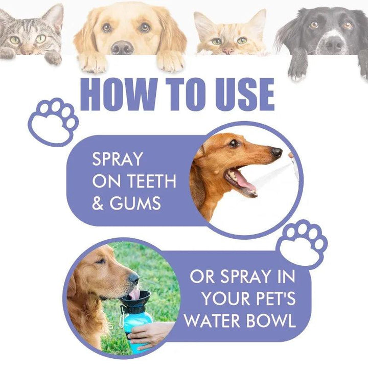 Pet Oral Spray Clean Teeth Fresh Breath - themiraclebrands.com