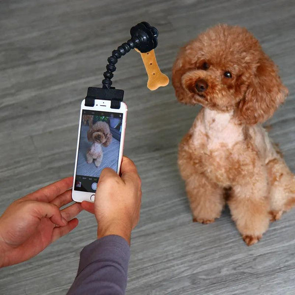 Pet Selfie Stick Photography Tool - themiraclebrands.com