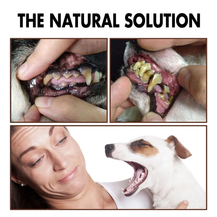 Pet Tooth Cleaning Spray - themiraclebrands.com