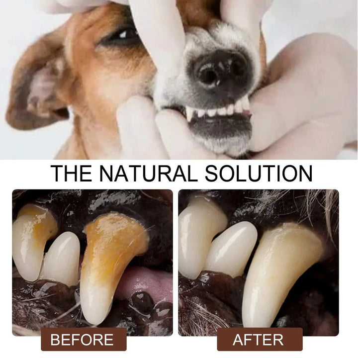 Pet Tooth Cleaning Spray - themiraclebrands.com