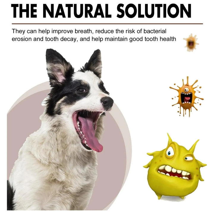 Pet Tooth Cleaning Spray - themiraclebrands.com