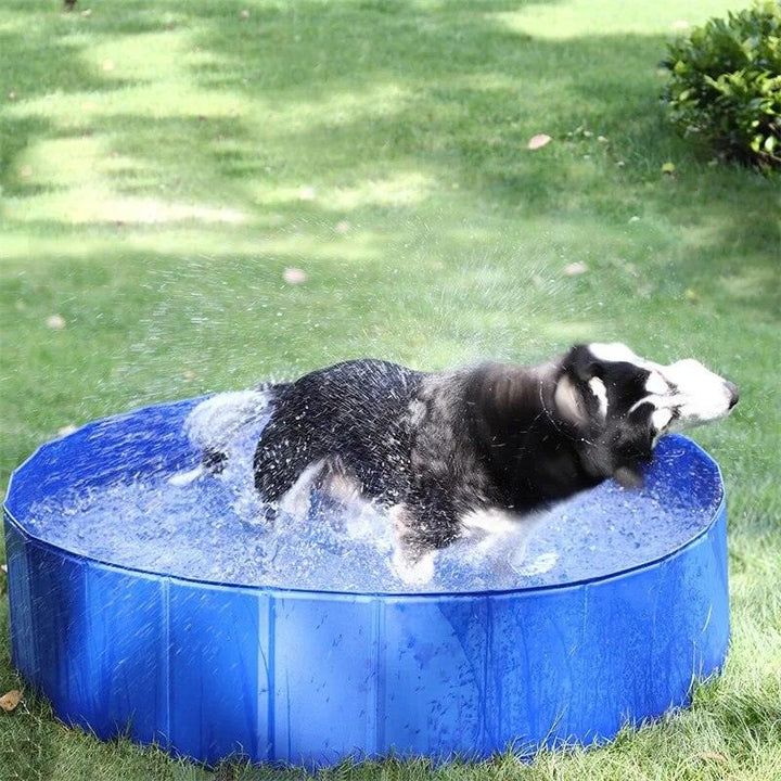 Portable Large Dog Swimming Pool - themiraclebrands.com