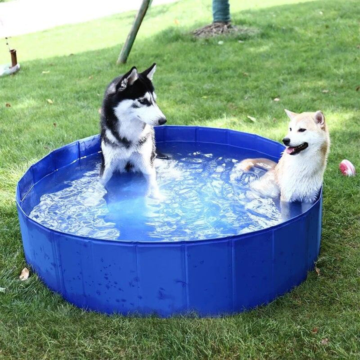 Portable Large Dog Swimming Pool - themiraclebrands.com