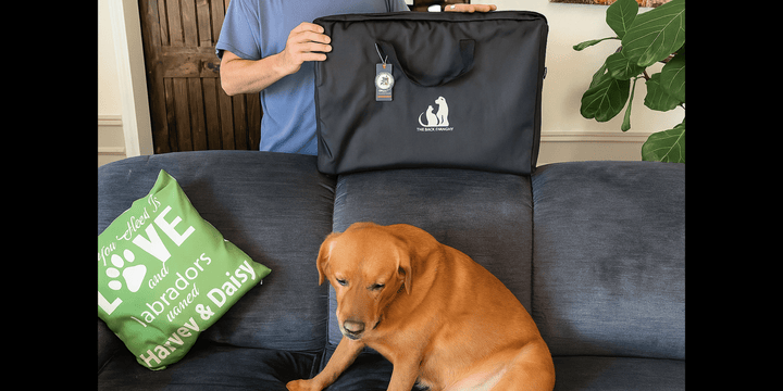 the miracle brands dog seat cover