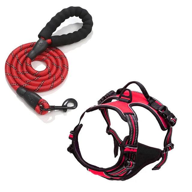 Printed Pet Chest Strap and Leash for Small Medium Dogs - themiraclebrands.com