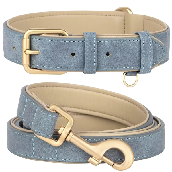 Padded Leather Dog Collar & Leash Set