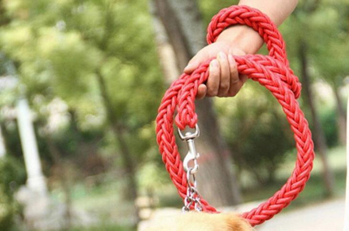 Durable Nylon Dog Leash & Collar Set - themiraclebrands.com