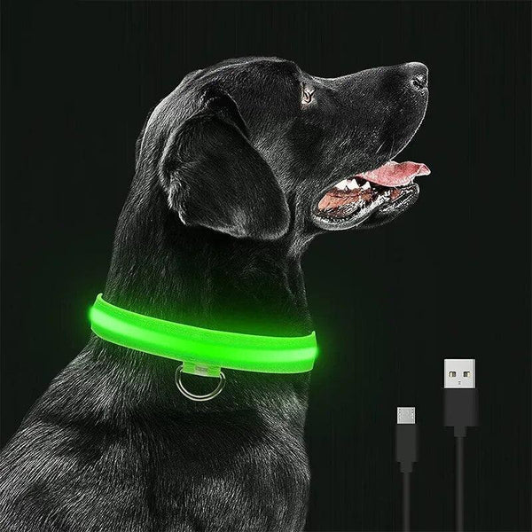 Rechargeable LED Dog Collars - themiraclebrands.com