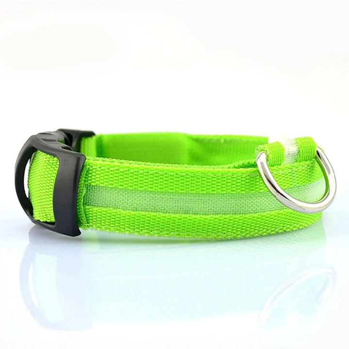 Rechargeable LED Dog Collars - themiraclebrands.com