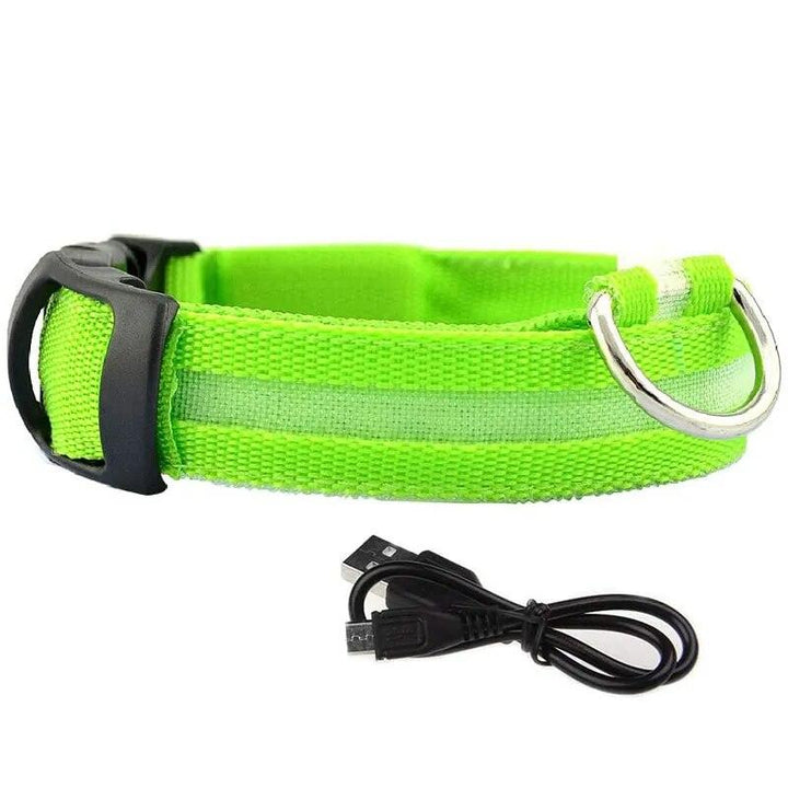 Rechargeable LED Dog Collars - themiraclebrands.com