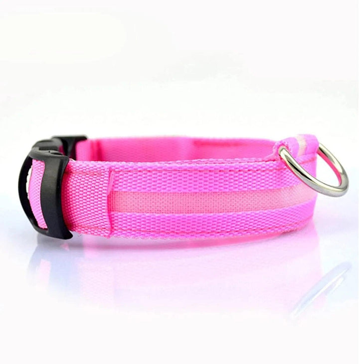 Rechargeable LED Dog Collars - themiraclebrands.com