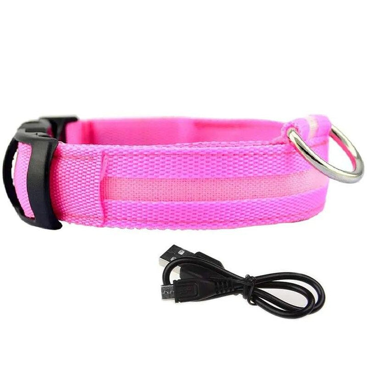 Rechargeable LED Dog Collars - themiraclebrands.com