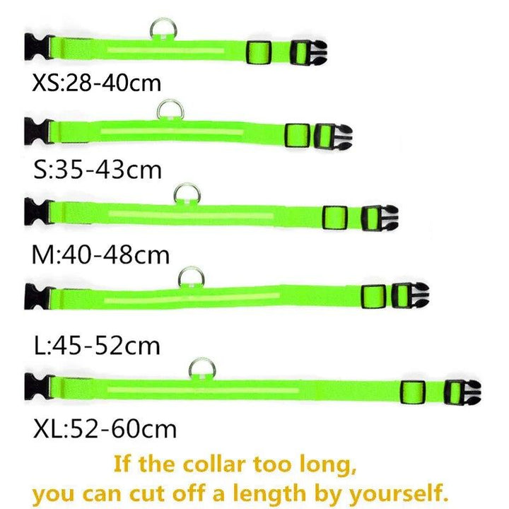 Rechargeable LED Dog Collars - themiraclebrands.com