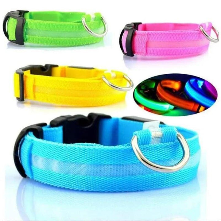 Rechargeable LED Dog Collars - themiraclebrands.com