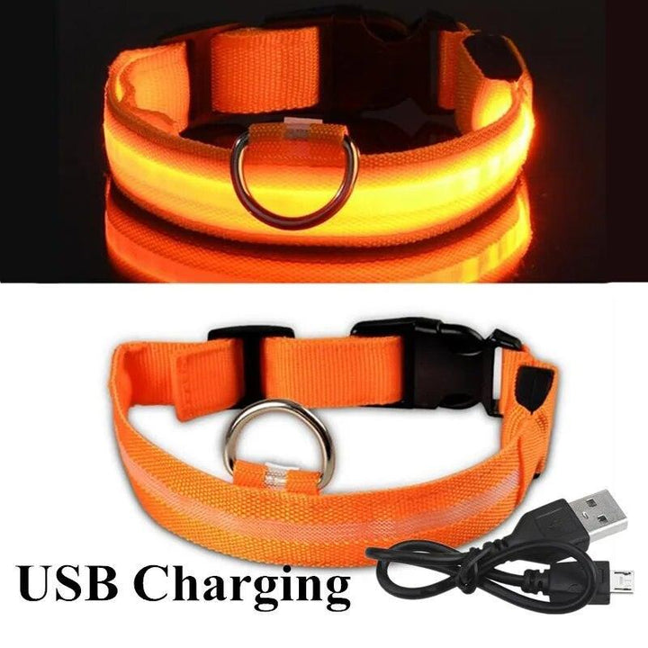 Rechargeable LED Dog Collars - themiraclebrands.com