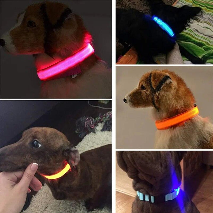 Rechargeable LED Dog Collars - themiraclebrands.com