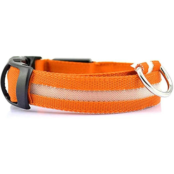 Rechargeable LED Dog Collars - themiraclebrands.com