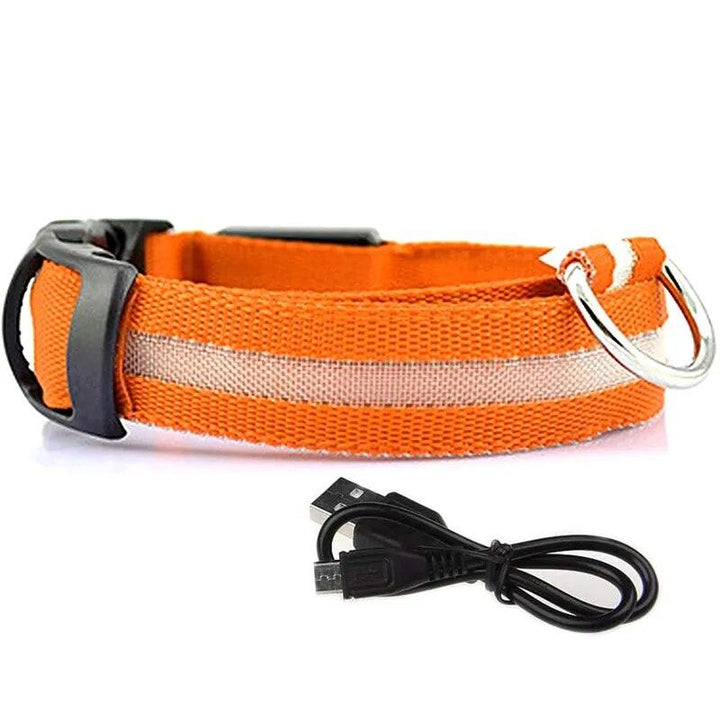 Rechargeable LED Dog Collars - themiraclebrands.com