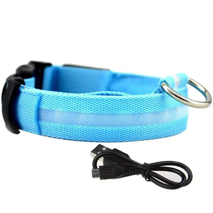 Rechargeable LED Dog Collars - themiraclebrands.com