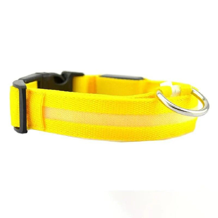 Rechargeable LED Dog Collars - themiraclebrands.com