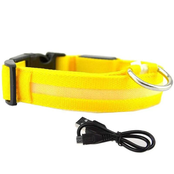 Rechargeable LED Dog Collars - themiraclebrands.com