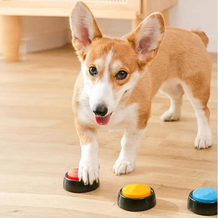 Recordable Talking Button Toy for Pets - themiraclebrands.com