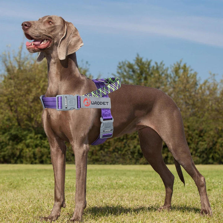 Reflective Dog Harness - themiraclebrands.com