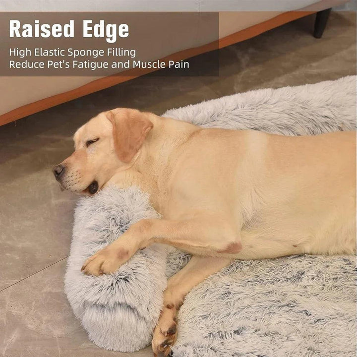 Removable Plush Pet Sofa Bed Cozy Comfort - themiraclebrands.com