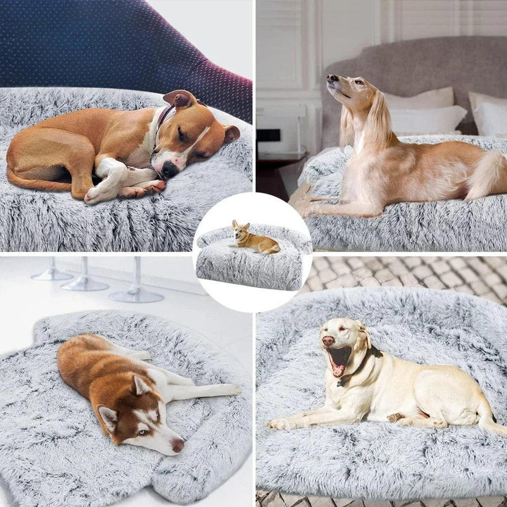 Removable Plush Pet Sofa Bed Cozy Comfort - themiraclebrands.com